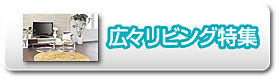 広々リビング特集